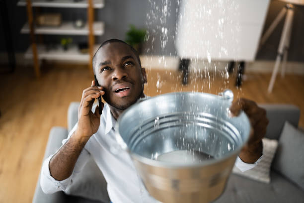 Best Water damage restoration near me  in Carthage, MO