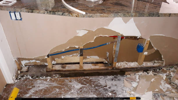 Best Professional water damage repair  in Carthage, MO