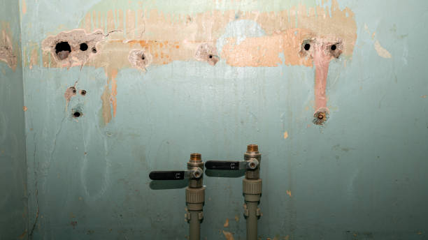 Best Water damage restoration specialists  in Carthage, MO