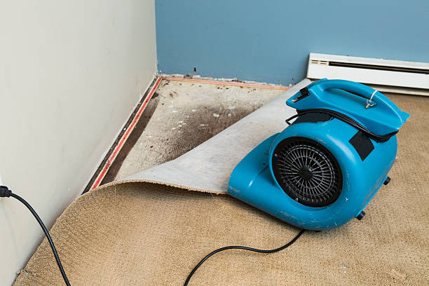 Best Local water damage restoration  in Carthage, MO